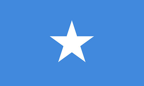 Türkiye - Somali İş Konseyi